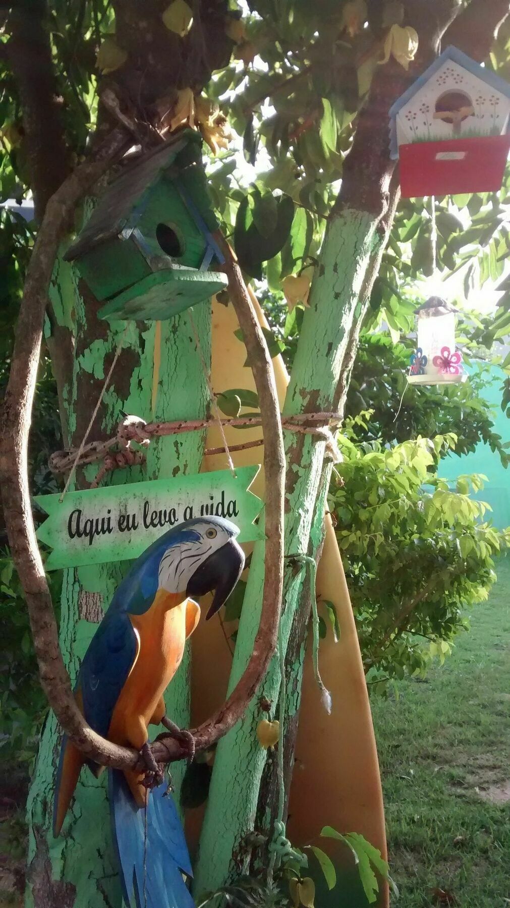 Flora Pensão Búzios